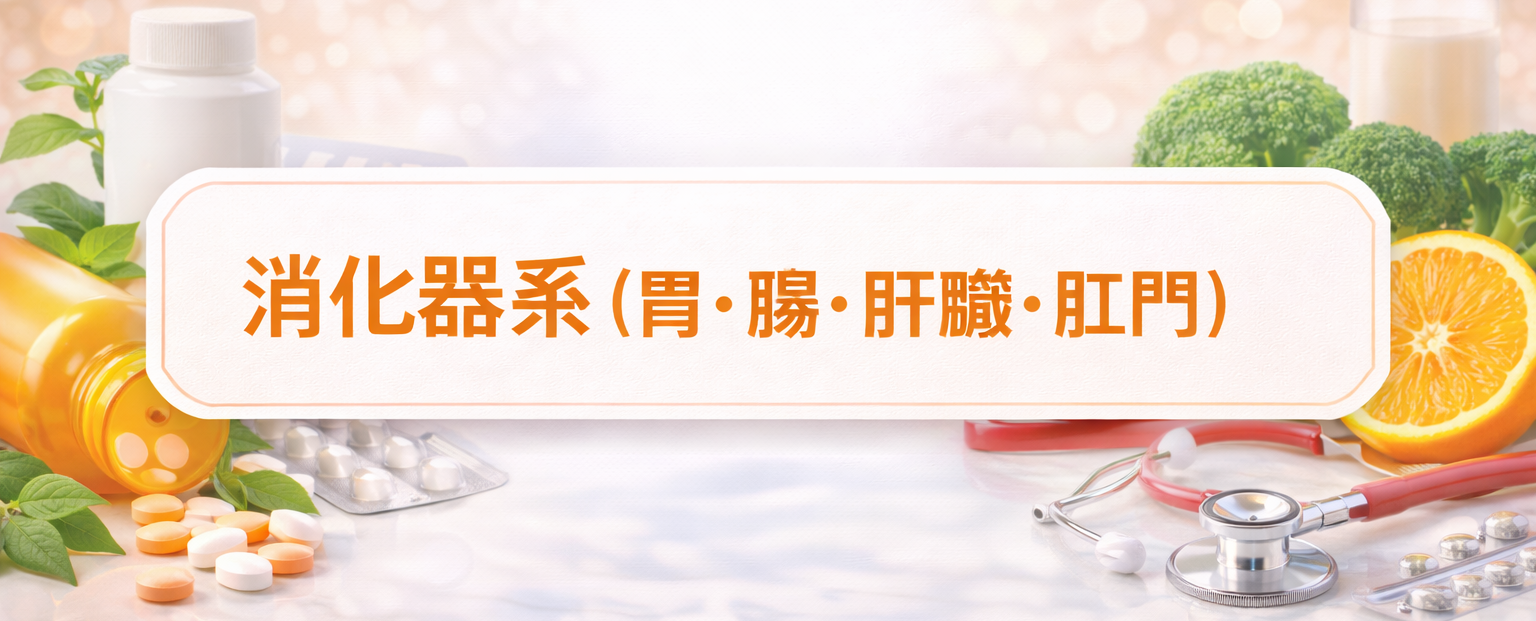 消化器系（胃･腸･肝臓・肛門）