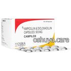 カンピロックス Campilox 250mg 100錠