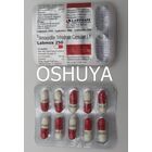 ラブモックス ペニシリン系抗生物質 Labmox 250mg 40錠