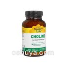 コリン 記憶力向上 Choline  650mg