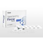 フィンカー Fincar 30錠