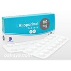 アロプリノール錠 Allopurinol (ｻﾞｲﾛﾘｯｸ ｼﾞｪﾈﾘｯｸ) 100mg 28錠