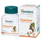 [ヒマラヤ] プナーナバ 尿路感染症 Himalaya Punarnava 60錠