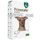 プリノケート犬用 寄生虫予防薬 PrinocateForDogs (25-40kg)